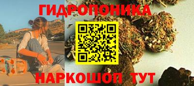 гидропоника Шелехов