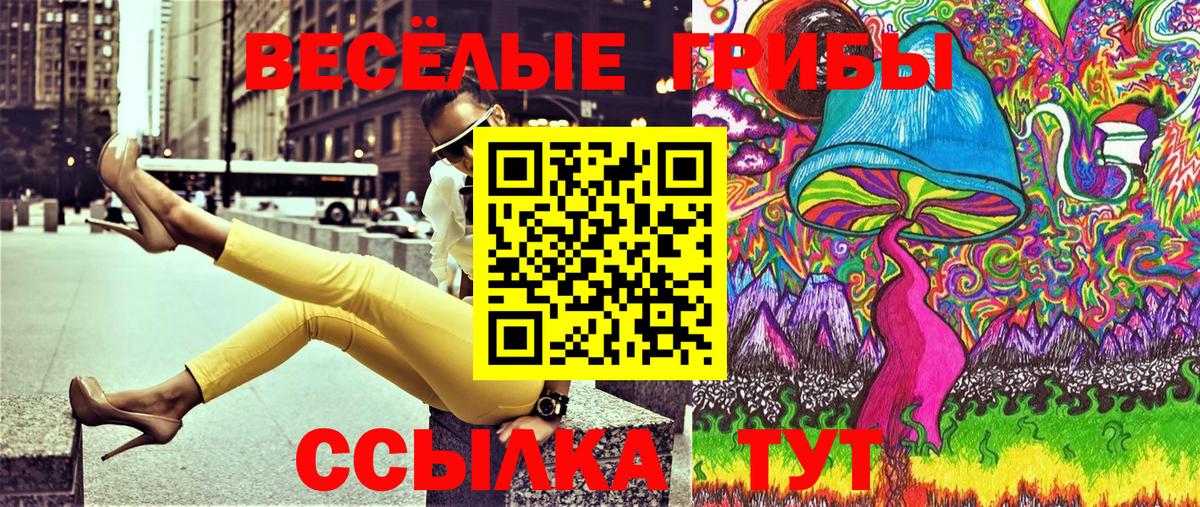 Галлюциногенные грибы Magic Shrooms  Вход с VPN  Сунжа 