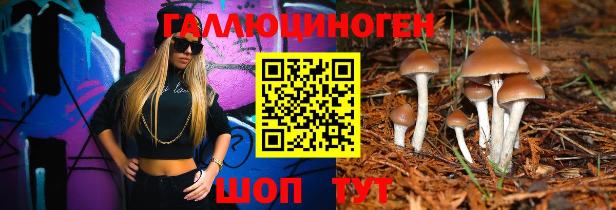 Галлюциногенные грибы GOLDEN TEACHER Сунжа